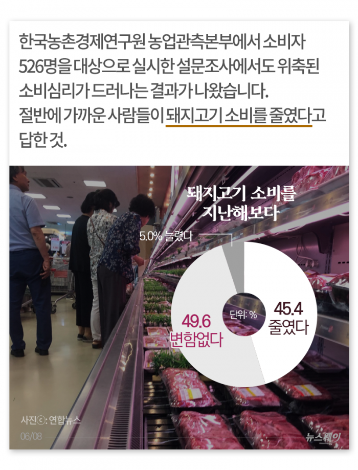 두 번 우는 양돈 농가 기사의 사진