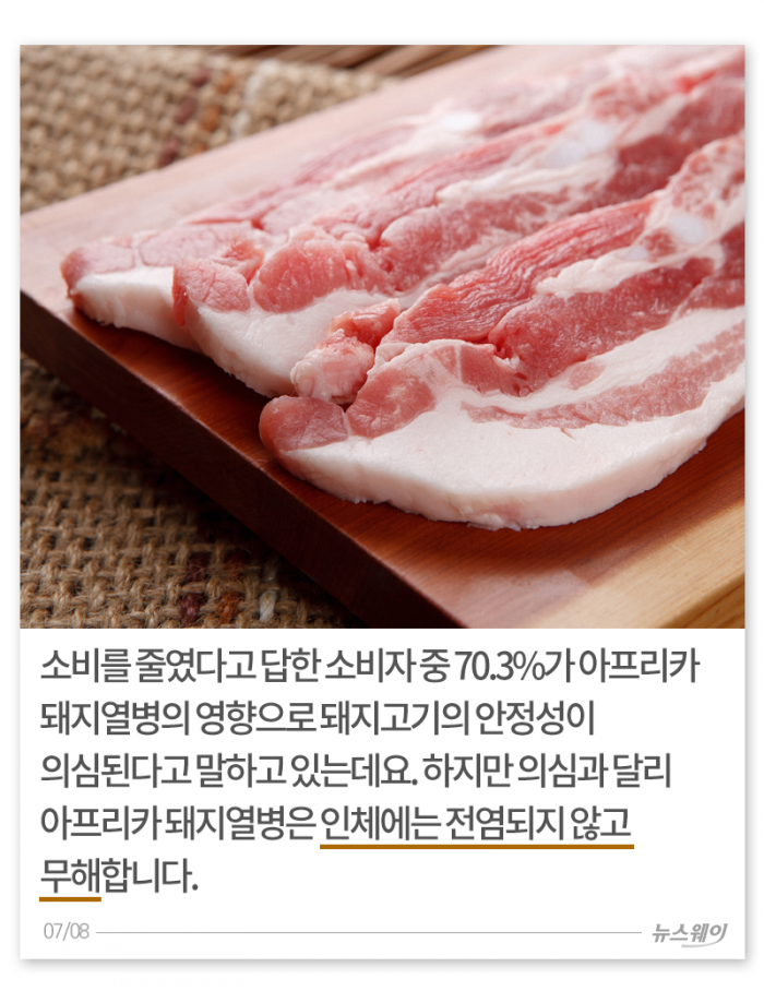 두 번 우는 양돈 농가 기사의 사진