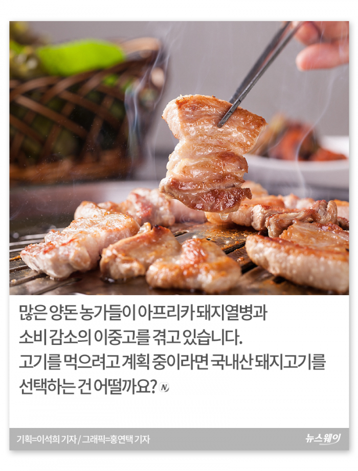 두 번 우는 양돈 농가 기사의 사진
