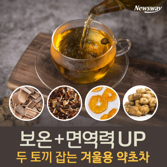 ‘보온+면역력’ 두 토끼 잡는 겨울용 약초차 기사의 사진