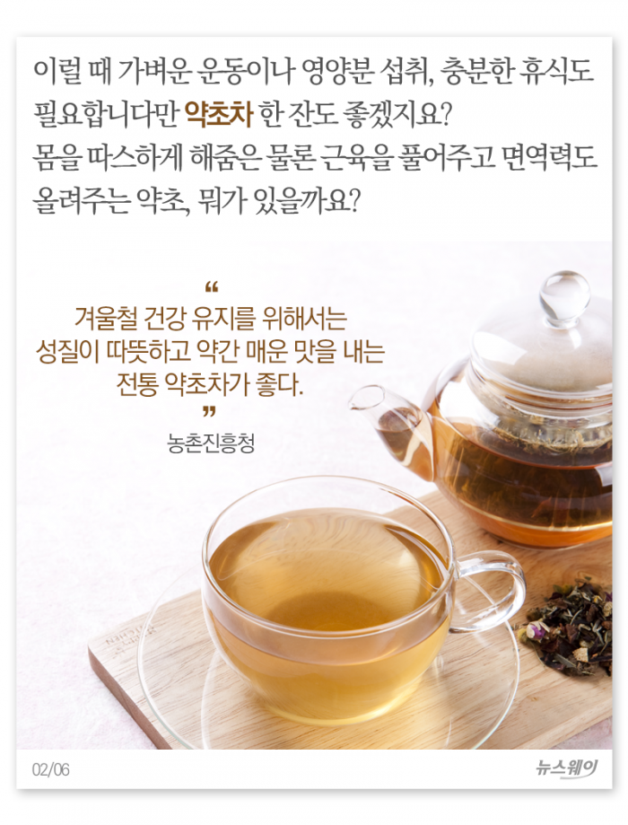 ‘보온+면역력’ 두 토끼 잡는 겨울용 약초차 기사의 사진
