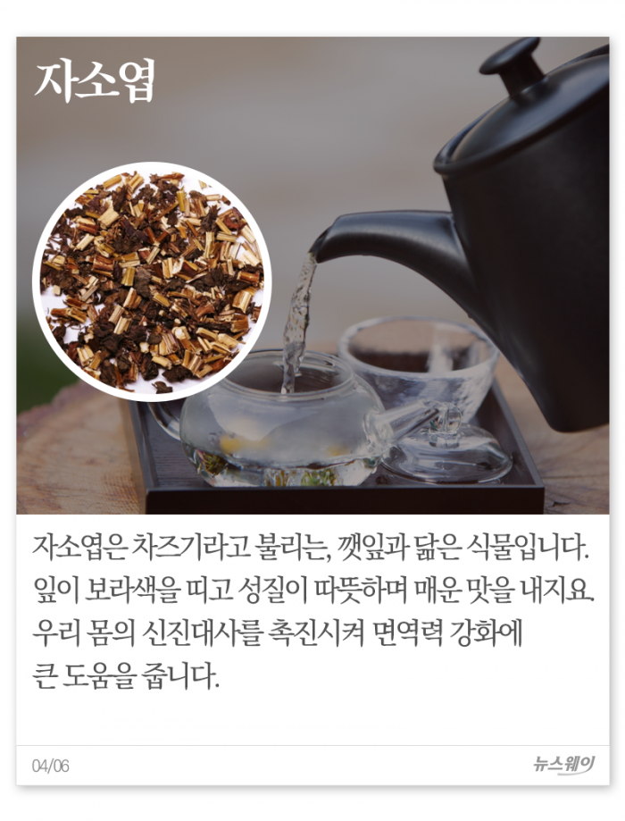 ‘보온+면역력’ 두 토끼 잡는 겨울용 약초차 기사의 사진