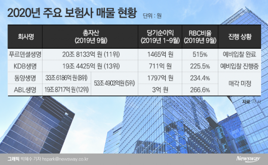 2020년 주요 보험사 매물 현황. 그래픽=박혜수 기자