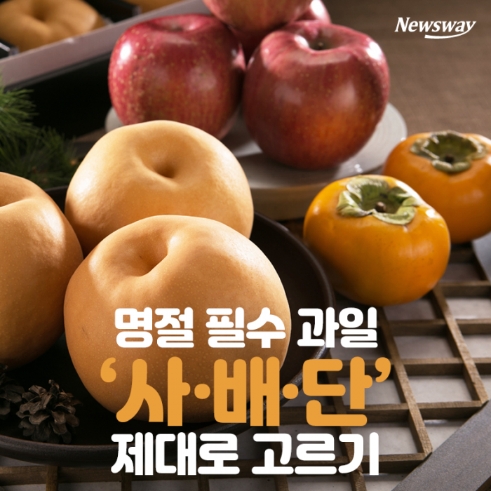 명절 필수 과일 ‘사·배·단’ 제대로 고르기 기사의 사진