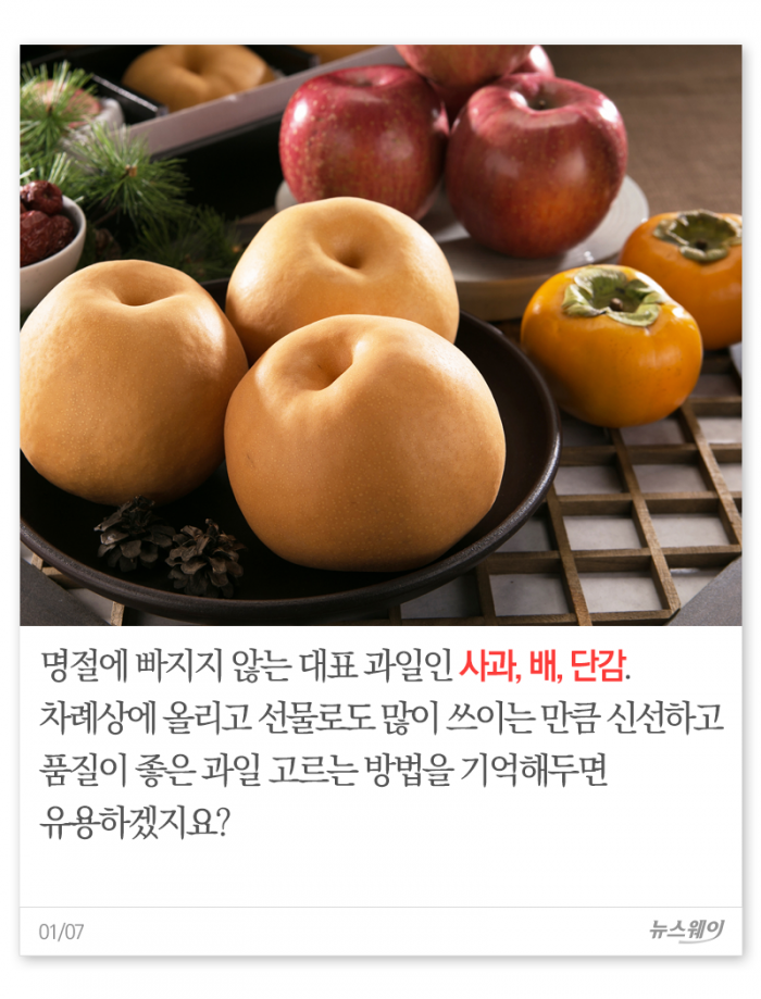 명절 필수 과일 ‘사·배·단’ 제대로 고르기 기사의 사진