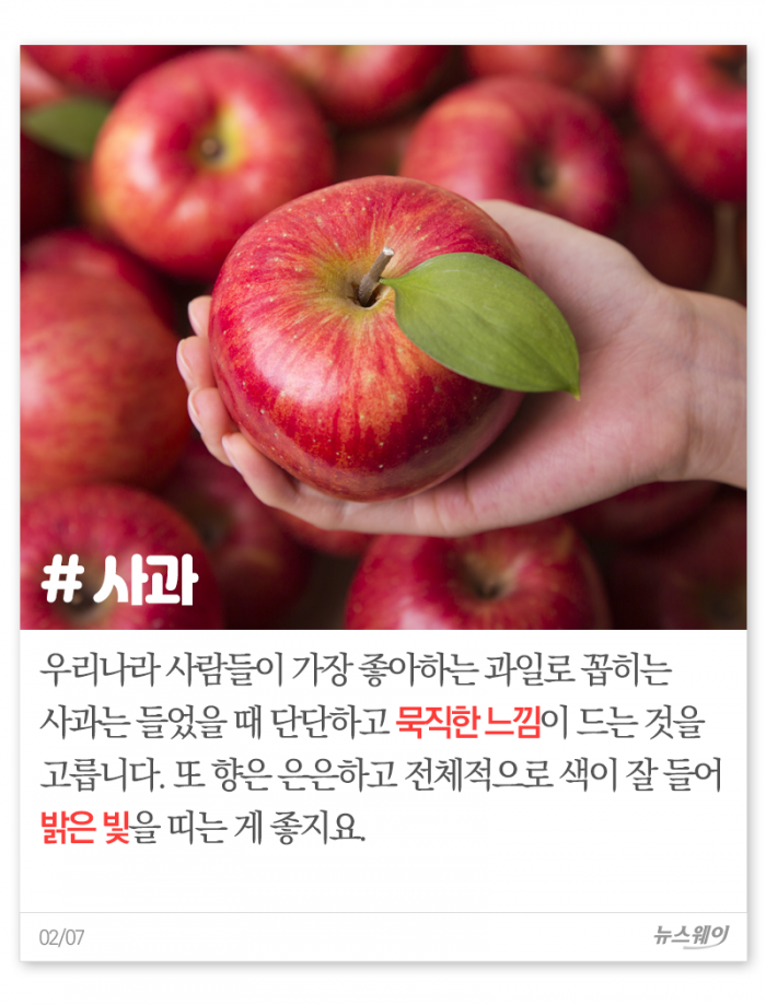명절 필수 과일 ‘사·배·단’ 제대로 고르기 기사의 사진