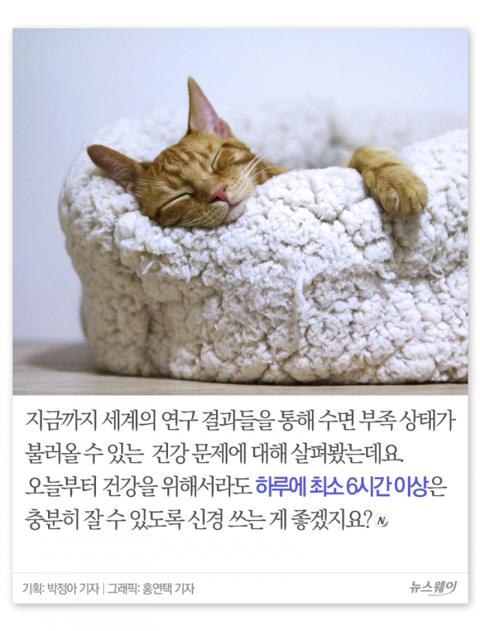 잠 못 드는 당신, 몸에는 어떤 일이···? 기사의 사진