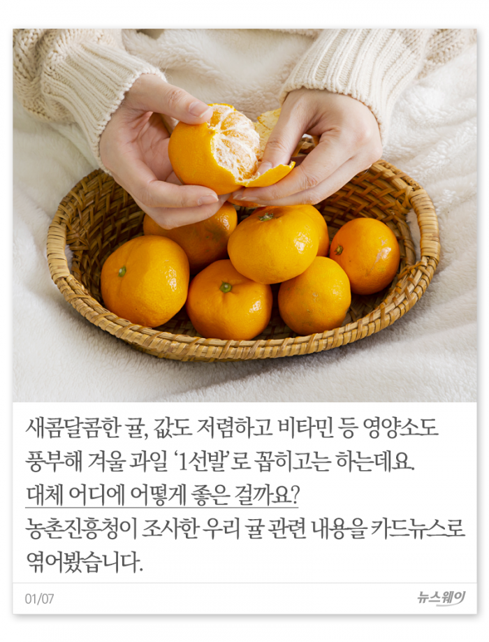 귤, 몇 개나 먹으면 되겠니? 기사의 사진