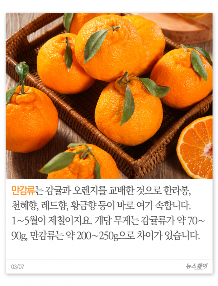 귤, 몇 개나 먹으면 되겠니? 기사의 사진