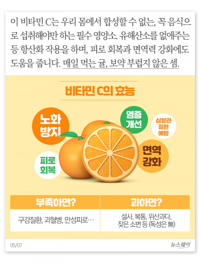 귤, 몇 개나 먹으면 되겠니? 기사의 사진
