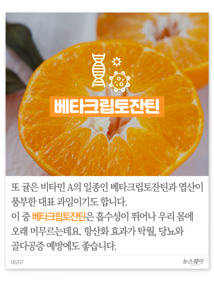 귤, 몇 개나 먹으면 되겠니? 기사의 사진