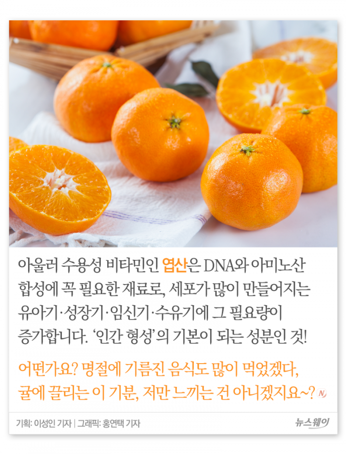귤, 몇 개나 먹으면 되겠니? 기사의 사진