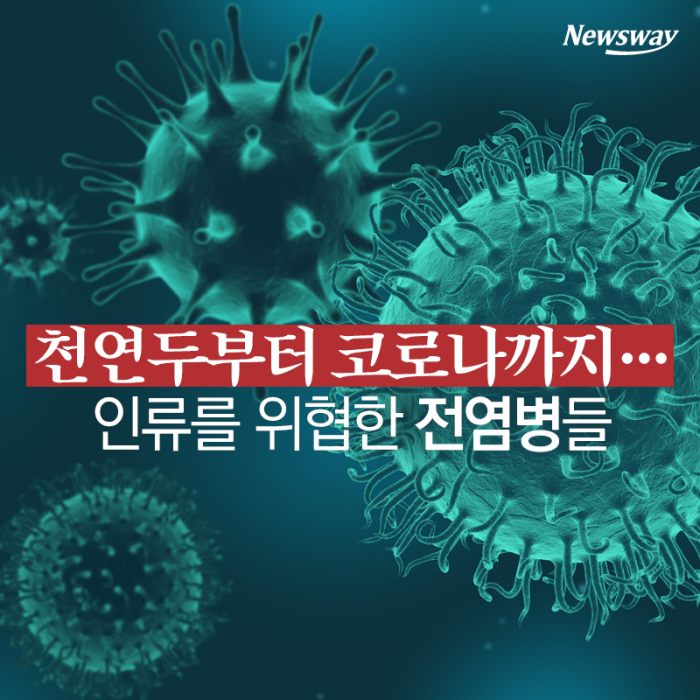 천연두부터 코로나까지···인류를 위협한 전염병들 기사의 사진