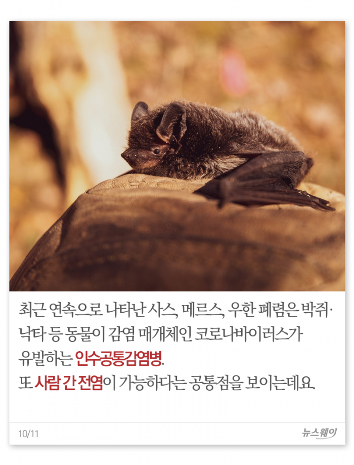 천연두부터 코로나까지···인류를 위협한 전염병들 기사의 사진