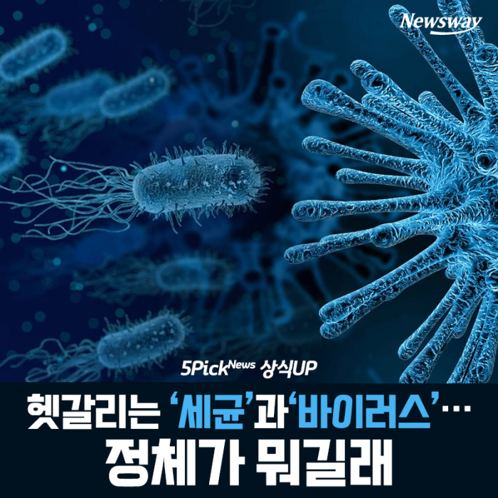 헷갈리는 ‘세균’과 ‘바이러스’···정체가 뭐길래 기사의 사진