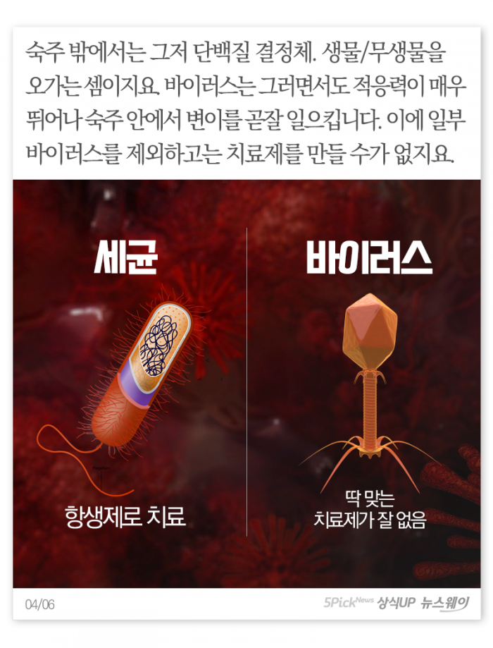 헷갈리는 ‘세균’과 ‘바이러스’···정체가 뭐길래 기사의 사진