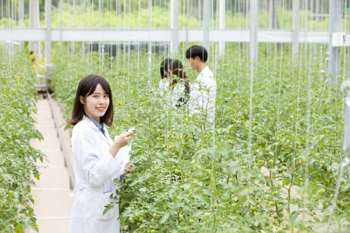 서면에 위치한 순천대학교 첨단 유리온실 모습