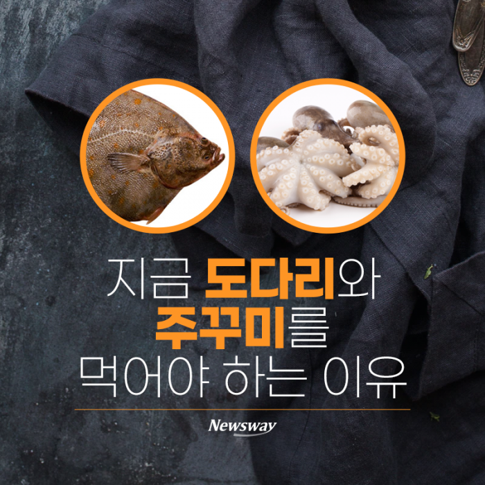지금 도다리와 주꾸미를 먹어야 하는 이유 기사의 사진
