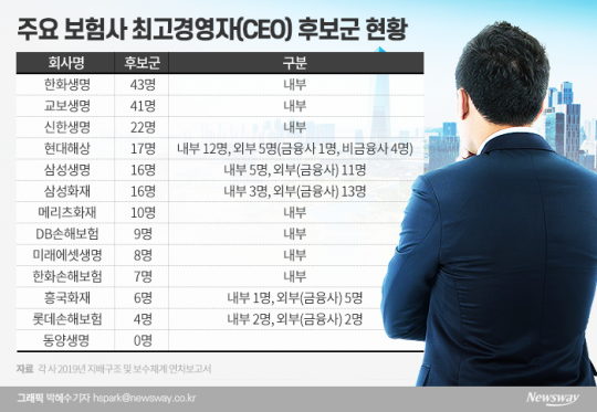 주요 보험사 최고경영자(CEO) 후보군 현황. 그래픽=박혜수 기자