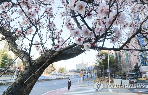 오늘의 날씨 전국 맑지만 건조, 큰 일교차···미세먼지 ‘보통’ / 사진=연합뉴스 제공