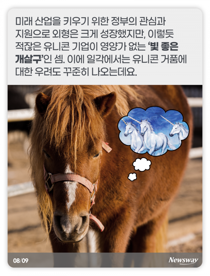 ‘유니콘’인 줄 알았는데 자세히 보니··· 기사의 사진