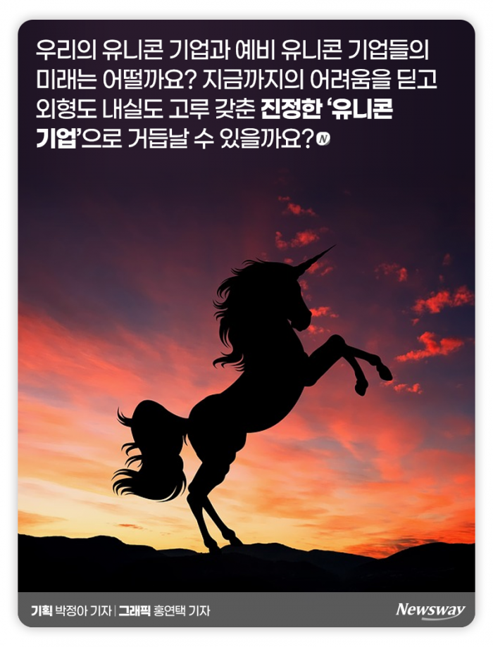 ‘유니콘’인 줄 알았는데 자세히 보니··· 기사의 사진