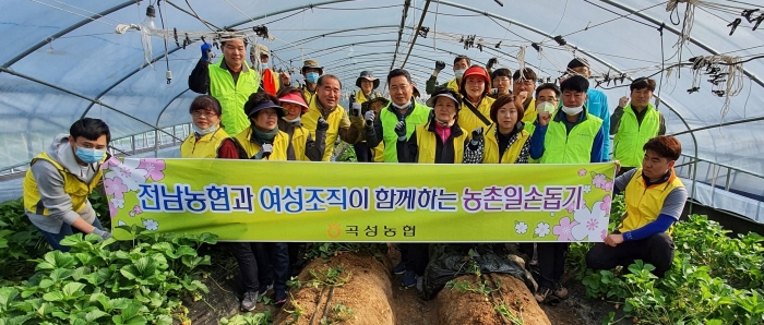 농협전남지역본부 김석기 본부장과 농협곡성군지부, 곡성농협 직원들의 농촌일손 돕기 모습