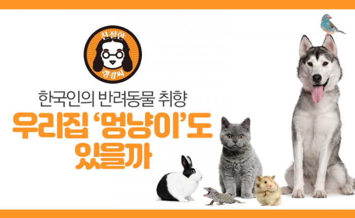 순위로 본 한국인의 반려동물 취향···우리집 ‘멍냥이’도 있을까 기사의 사진