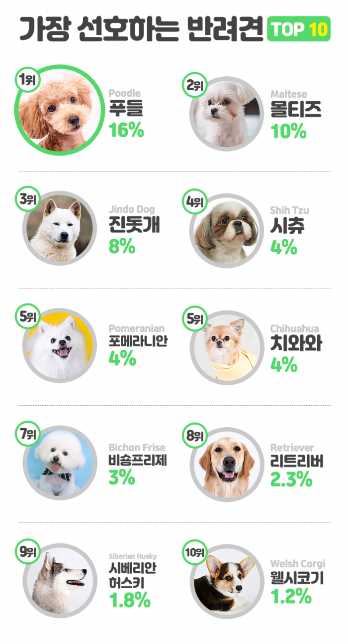 순위로 본 한국인의 반려동물 취향···우리집 ‘멍냥이’도 있을까 기사의 사진