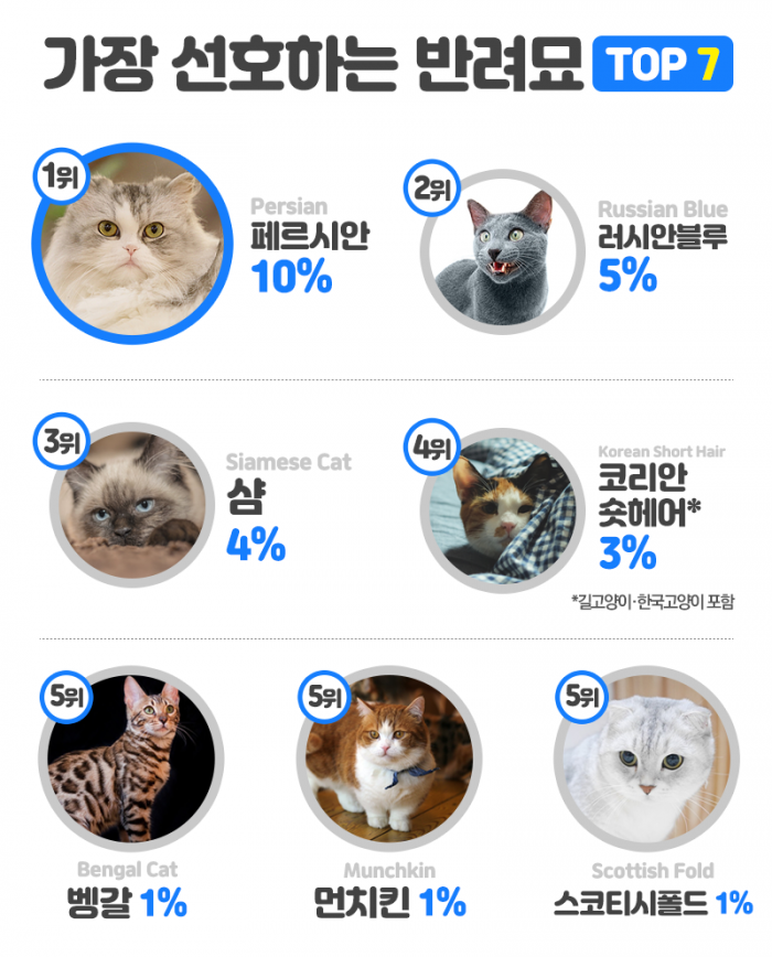 순위로 본 한국인의 반려동물 취향···우리집 ‘멍냥이’도 있을까 기사의 사진