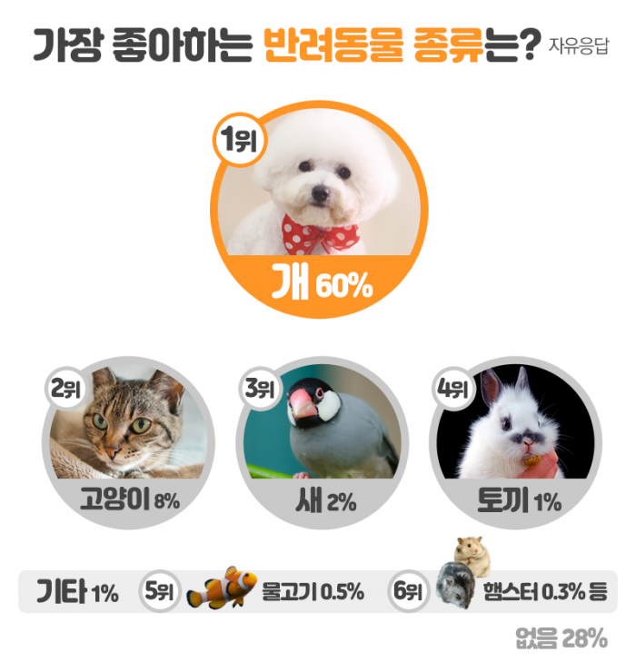 순위로 본 한국인의 반려동물 취향···우리집 ‘멍냥이’도 있을까 기사의 사진