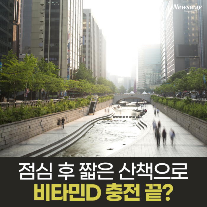 점심 후 짧은 산책으로 비타민D 충전 끝? 기사의 사진