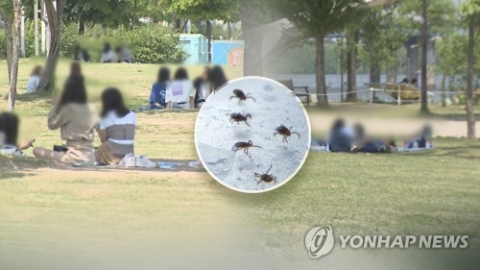 원주서 올해 첫 SFTS 환자 발생···“야외활동시 진드기 주의”