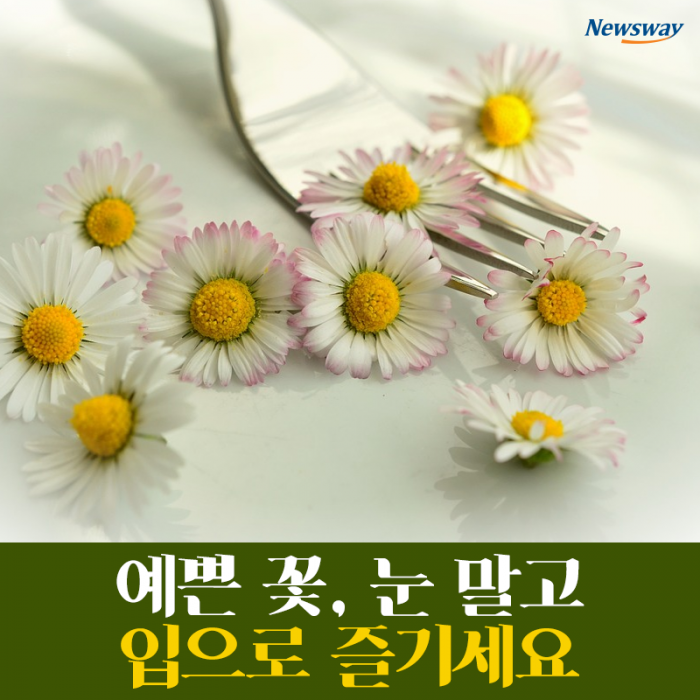 예쁜 꽃, 눈 말고 입으로 즐기세요 기사의 사진