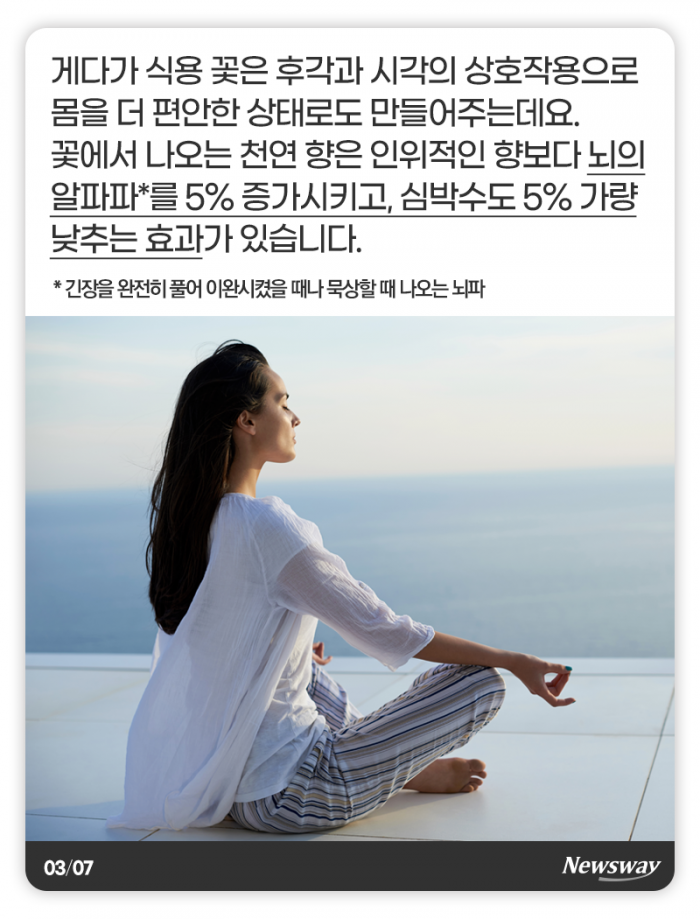 예쁜 꽃, 눈 말고 입으로 즐기세요 기사의 사진