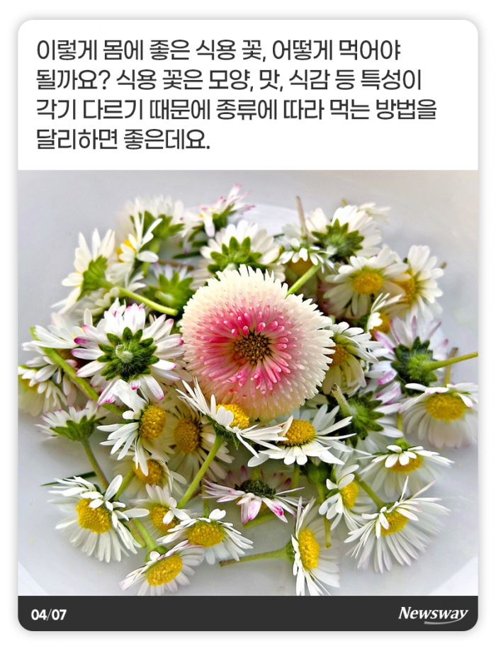 예쁜 꽃, 눈 말고 입으로 즐기세요 기사의 사진