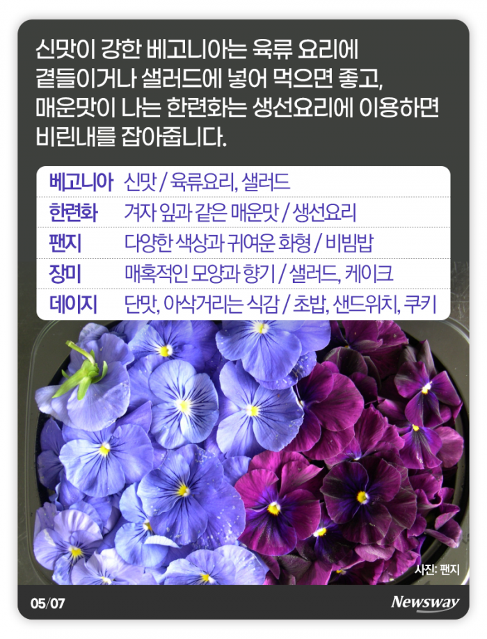 예쁜 꽃, 눈 말고 입으로 즐기세요 기사의 사진