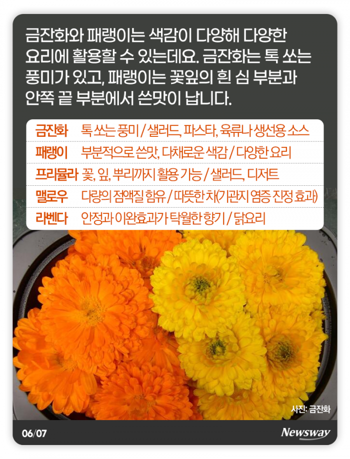 예쁜 꽃, 눈 말고 입으로 즐기세요 기사의 사진