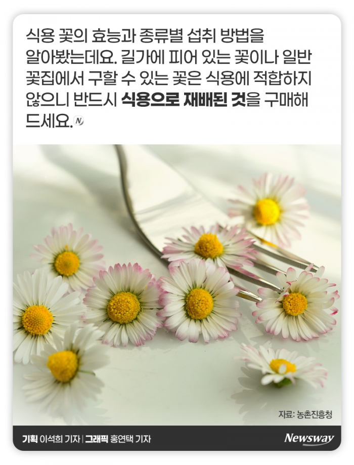 예쁜 꽃, 눈 말고 입으로 즐기세요 기사의 사진