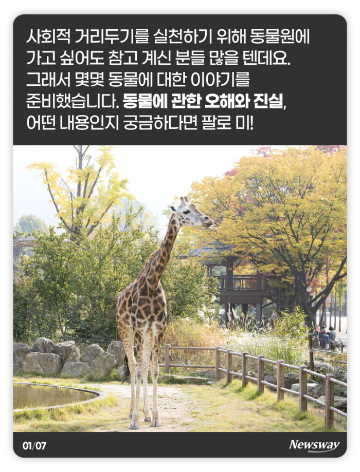 하이에나는 정말 비열할까? 기사의 사진