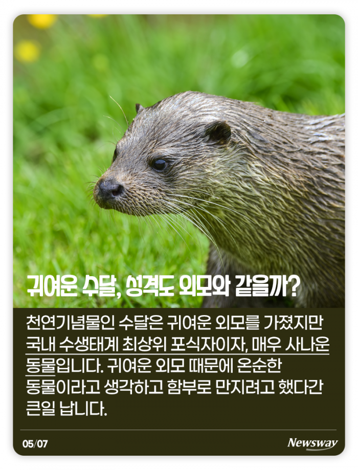 하이에나는 정말 비열할까? 기사의 사진