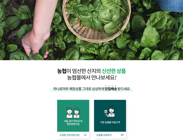 농협몰 접속 폭주···‘식재료 꾸러미 포인트’ 신청·사용법은? / 사진=농협몰