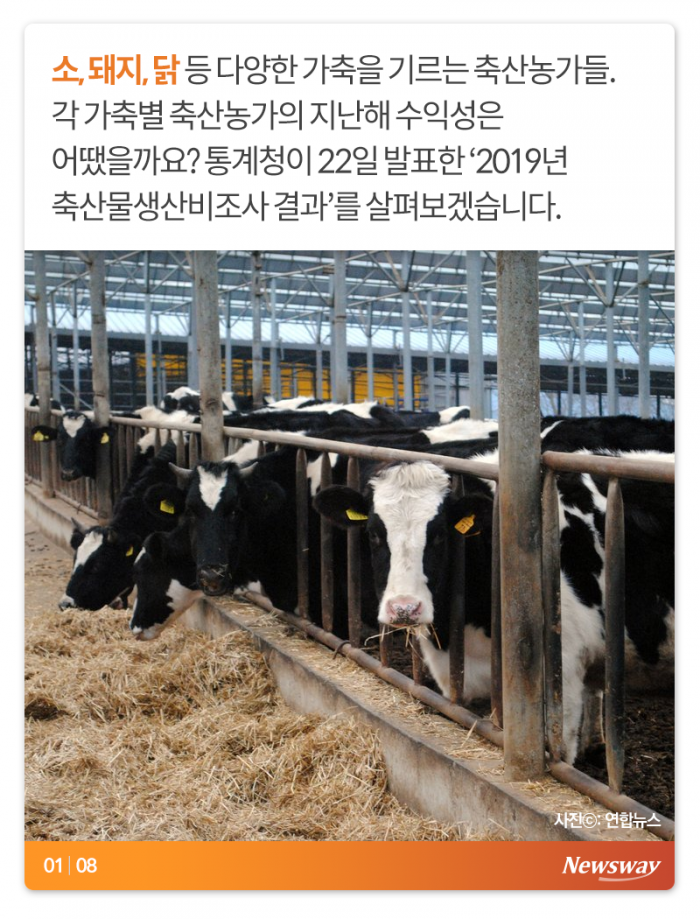 이러면 소는 누가 키우나 기사의 사진