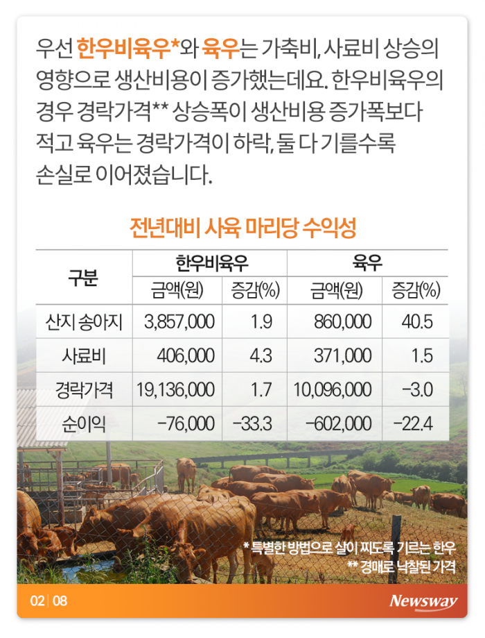 이러면 소는 누가 키우나 기사의 사진