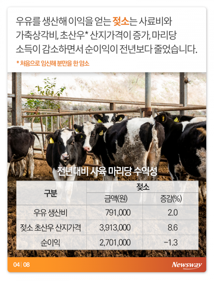 이러면 소는 누가 키우나 기사의 사진