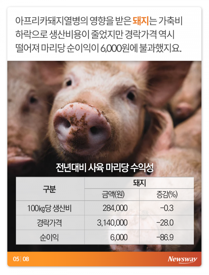 이러면 소는 누가 키우나 기사의 사진