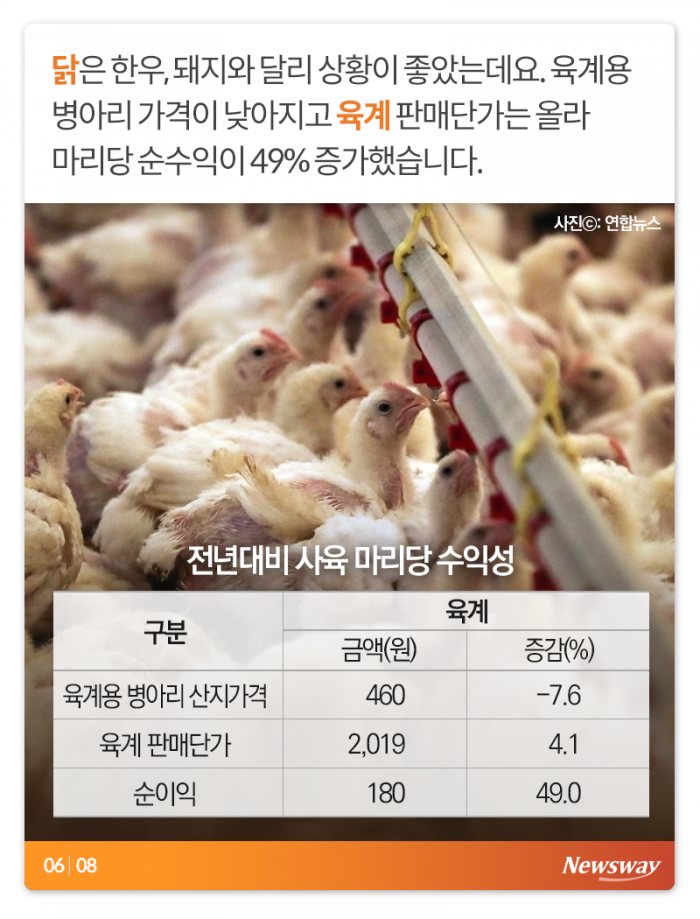 이러면 소는 누가 키우나 기사의 사진