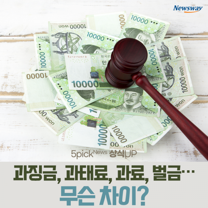 과징금, 과태료, 과료, 벌금···무슨 차이? 기사의 사진