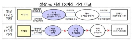 자료= 금감원 제공