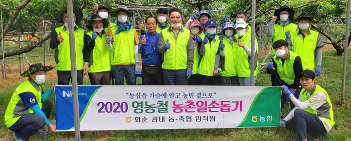 농협전남지역본부, 화순 춘양·동복면 복숭아 재배농가에서 농촌일손돕기 모습